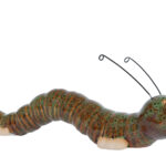 Sculptuur Caterpillar L bruin/groen aardew 22,5x4,5x8cm