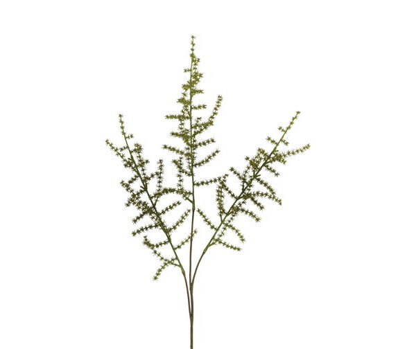 Countryfield Kunstblad Asparagus setaseus S groen 73cm