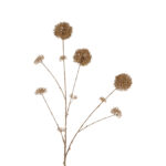 Countryfield Kunstbloem Eupatorium L beige 122cm