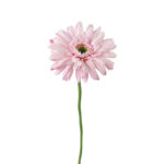 Countryfield Kunstbloem Gerbera Leanne roze 8x8x63cm