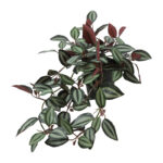 Countryfield Kunstplant steker/hang Tradescantia 23x30x50cm