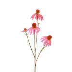 Countryfield Kunstbloem Echinacea fuchsia 10x10x77cm