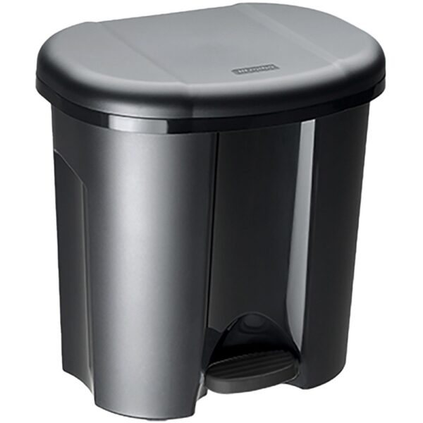 Rotho Afvalbak Pila 2x10L Duo