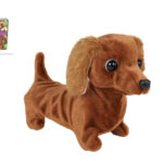 Take Me Home loophond teckel 19cm diverse functies B/O