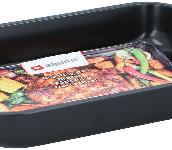 Alpina Braadslede 39x29x6cm antiaanbak
