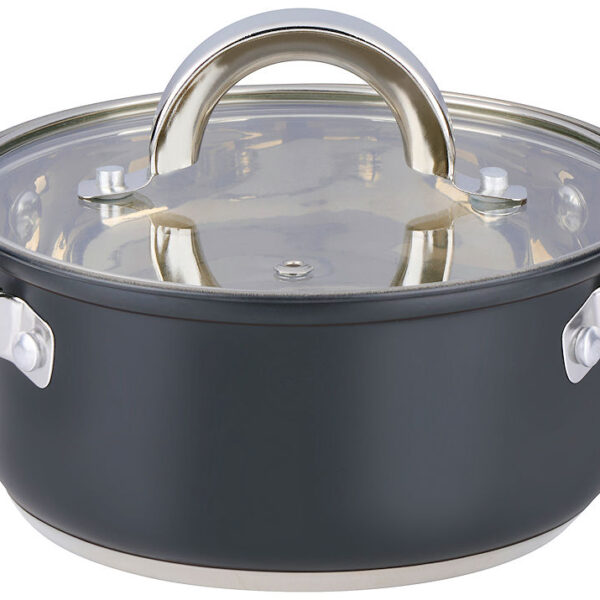 Alpina Kookpan met deksel 1.9L 16cm - inductie