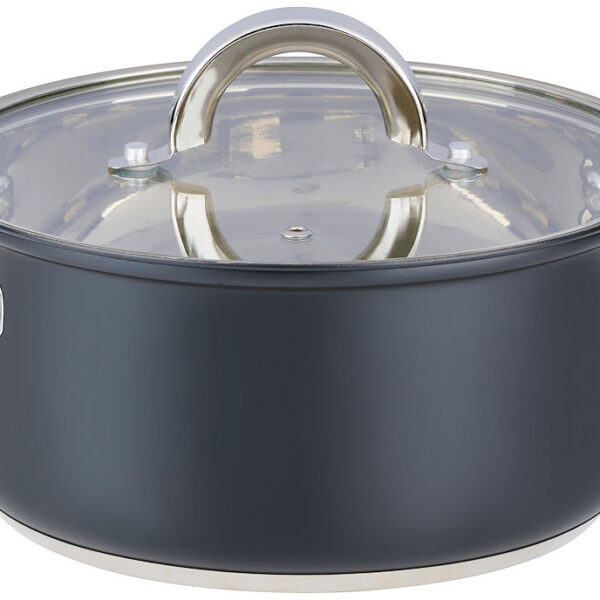 Alpina Kookpan met deksel 21cm 3.6L - inductie