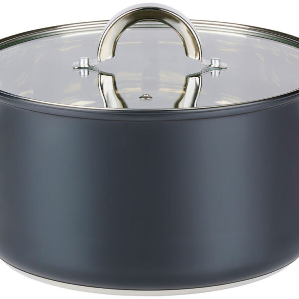 Alpina Kookpan met deksel 24cm 6.1L - inductie