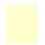 Papier A4 120gr 100 vel ivoor